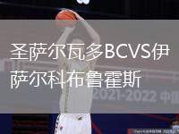 圣薩爾瓦多BCVS伊薩爾科布魯霍斯