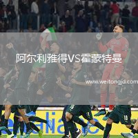 阿爾利雅得VS霍蒙特曼