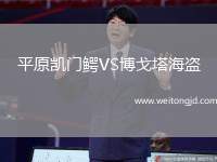 平原凱門鱷VS博戈塔海盜