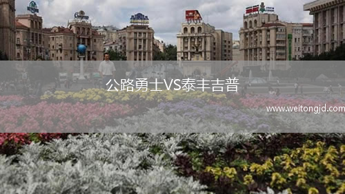 公路勇士VS泰豐吉普
