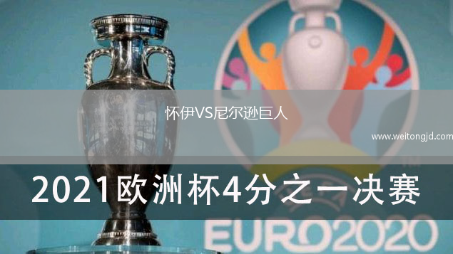 懷伊VS尼爾遜巨人