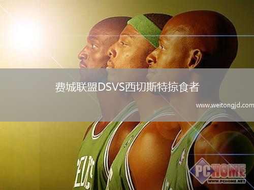 費城聯盟DSVS西切斯特掠食者