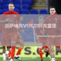 胡薩維克VS托爾阿克雷里