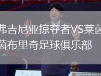 弗吉尼亞掠奪者VS萊茵布里奇足球俱樂部