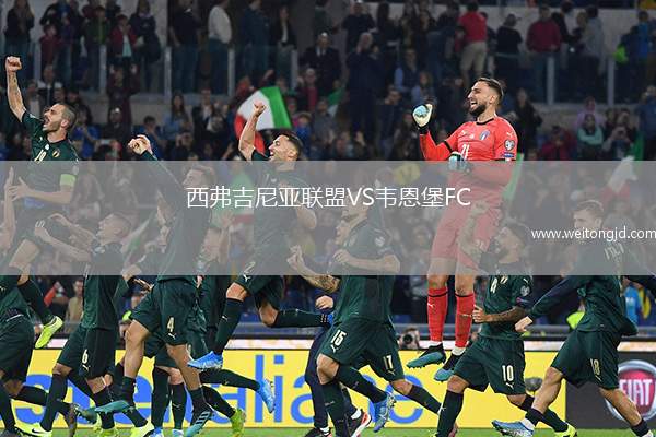 西弗吉尼亞聯(lián)盟VS韋恩堡FC