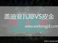 蓋迪亞瓦耶VS皮金