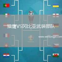 獵鷹VS岡比亞武裝部隊