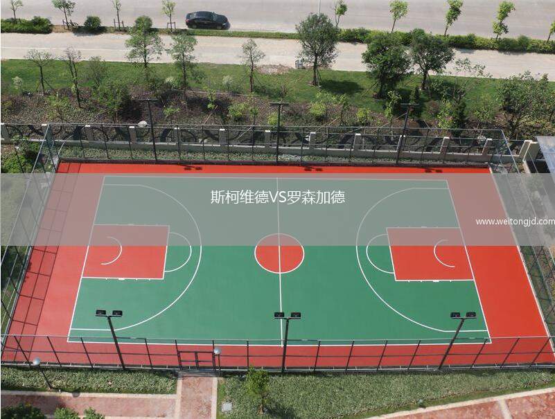 斯柯維德VS羅森加德