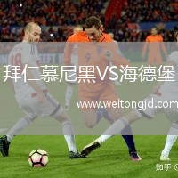 拜仁慕尼黑VS海德堡