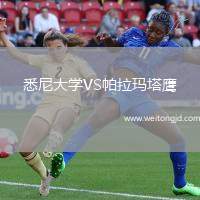 悉尼大學VS帕拉瑪塔鷹