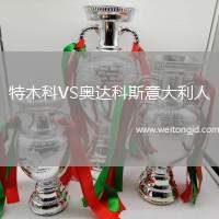 特木科VS奧達(dá)科斯意大利人