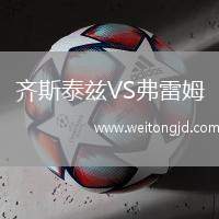 齊斯泰茲VS弗雷姆