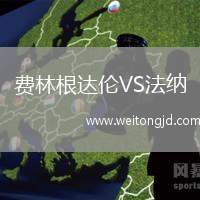 費林根達(dá)倫VS法納