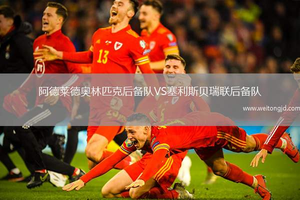 阿德萊德奧林匹克后備隊VS塞利斯貝瑞聯(lián)后備隊