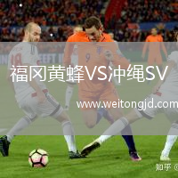 福岡黃蜂VS沖繩SV
