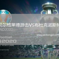 貝爾格萊德游擊VS布杜克諾斯特
