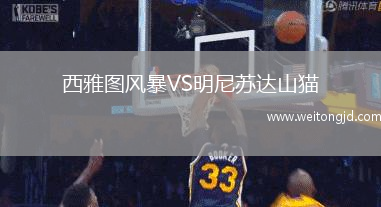 西雅圖風暴VS明尼蘇達山貓