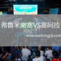 弗魯米嫩塞VS塞阿拉