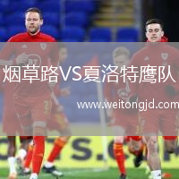 煙草路VS夏洛特鷹隊