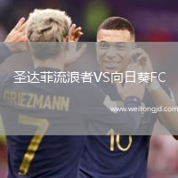 圣達菲流浪者VS向日葵FC