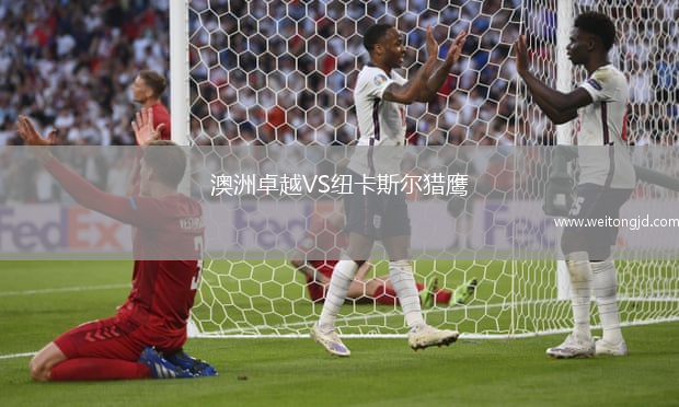 澳洲卓越VS紐卡斯爾獵鷹