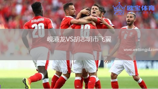 峴港龍VS胡志明市飛翼