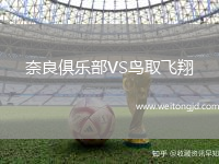 奈良俱樂部VS鳥取飛翔
