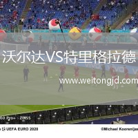 沃爾達VS特里格拉德