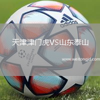 天津津門虎VS山東泰山