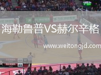 海勒魯普VS赫爾辛格