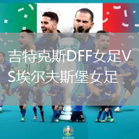 吉特克斯DFF女足VS埃爾夫斯堡女足