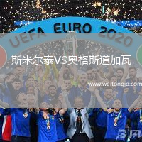 斯米爾泰VS奧格斯道加瓦
