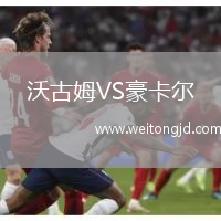 沃古姆VS豪卡爾