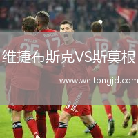 維捷布斯克VS斯莫根