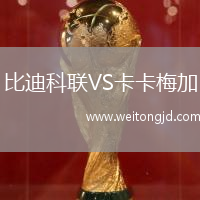 比迪科聯VS卡卡梅加