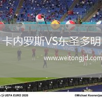卡內羅斯VS東圣多明