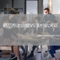明尼蘇達山貓VS洛杉磯火花