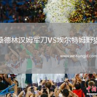桑德林漢姆軍刀VS埃爾特姆野貓