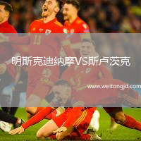 明斯克迪納摩VS斯盧茨克