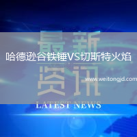 哈德遜谷鐵錘VS切斯特火焰