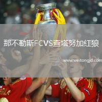那不勒斯FCVS查塔努加紅狼