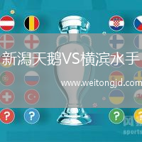 新潟天鵝VS橫濱水手
