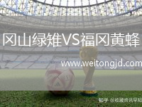 岡山綠雉VS福岡黃蜂