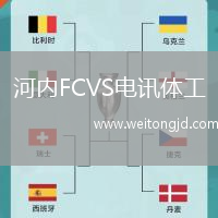河內FCVS電訊體工