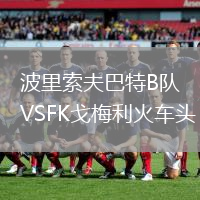 波里索夫巴特B隊VSFK戈梅利火車頭