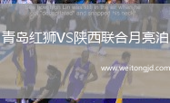 青島紅獅VS陜西聯合月亮泊