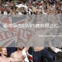 桑德菲杰B隊(duì)VS費(fèi)林根達(dá)倫