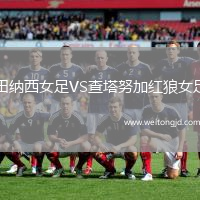 田納西女足VS查塔努加紅狼女足