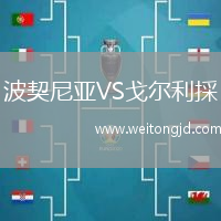 波契尼亞VS戈爾利採