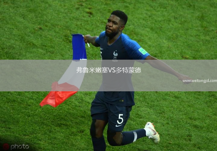 弗魯米嫩塞VS多特蒙德